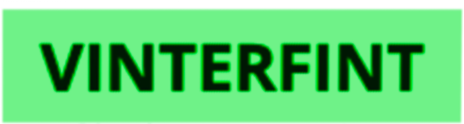 Vinterfint